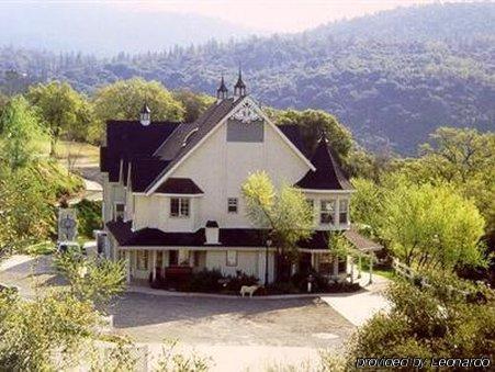 Bed & Breakfast Hounds Tooth